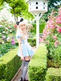 cosplay套图 c78 NECOCO.in.Wonderland(39)